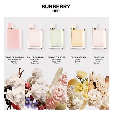 burberry her elixir de parfum burberry|burberry her 100 ml.